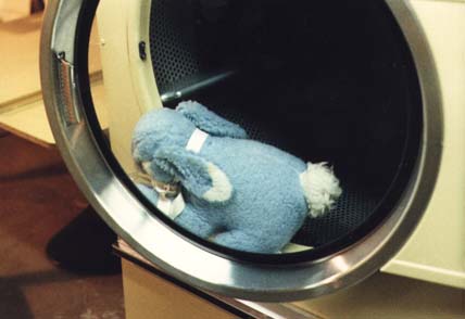 Bondage Bunny and the Clothes-Dryer of Doom